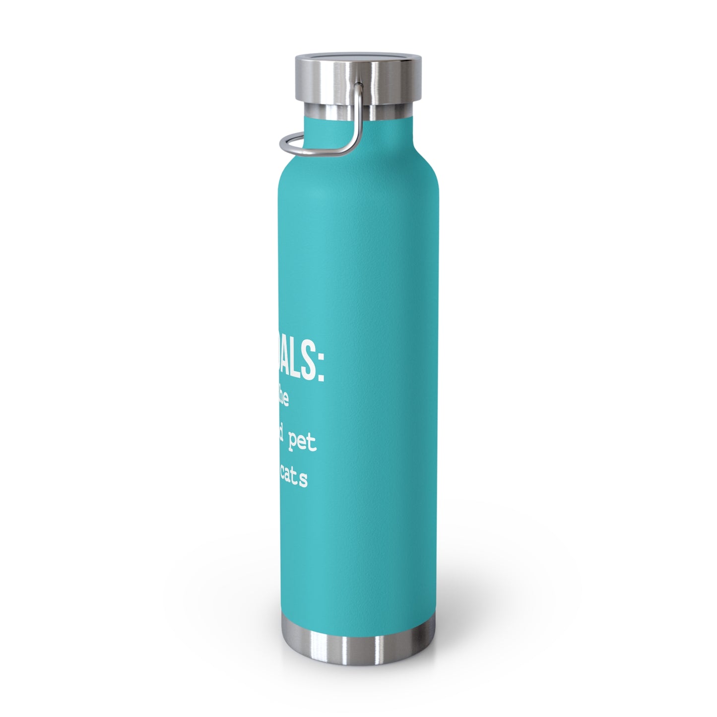 Life Goals Vacuum Insulated Bottle | 22oz