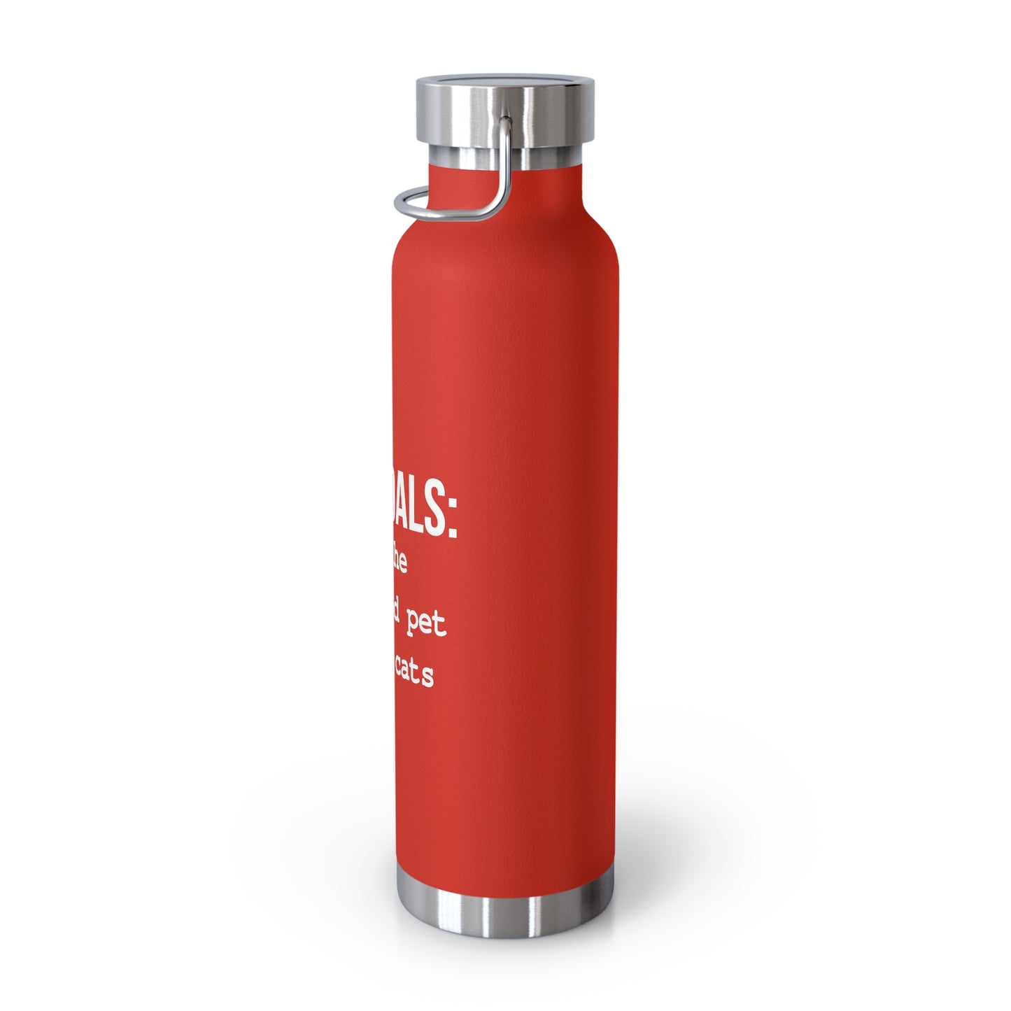 Life Goals Vacuum Insulated Bottle | 22oz