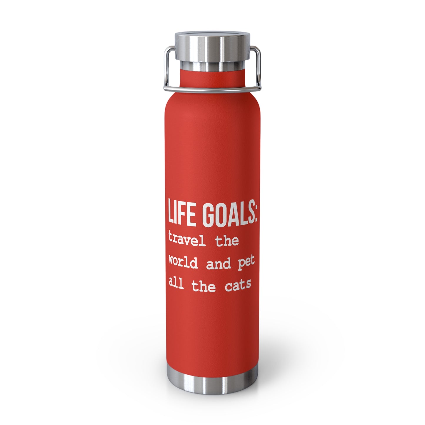 Life Goals Vacuum Insulated Bottle | 22oz