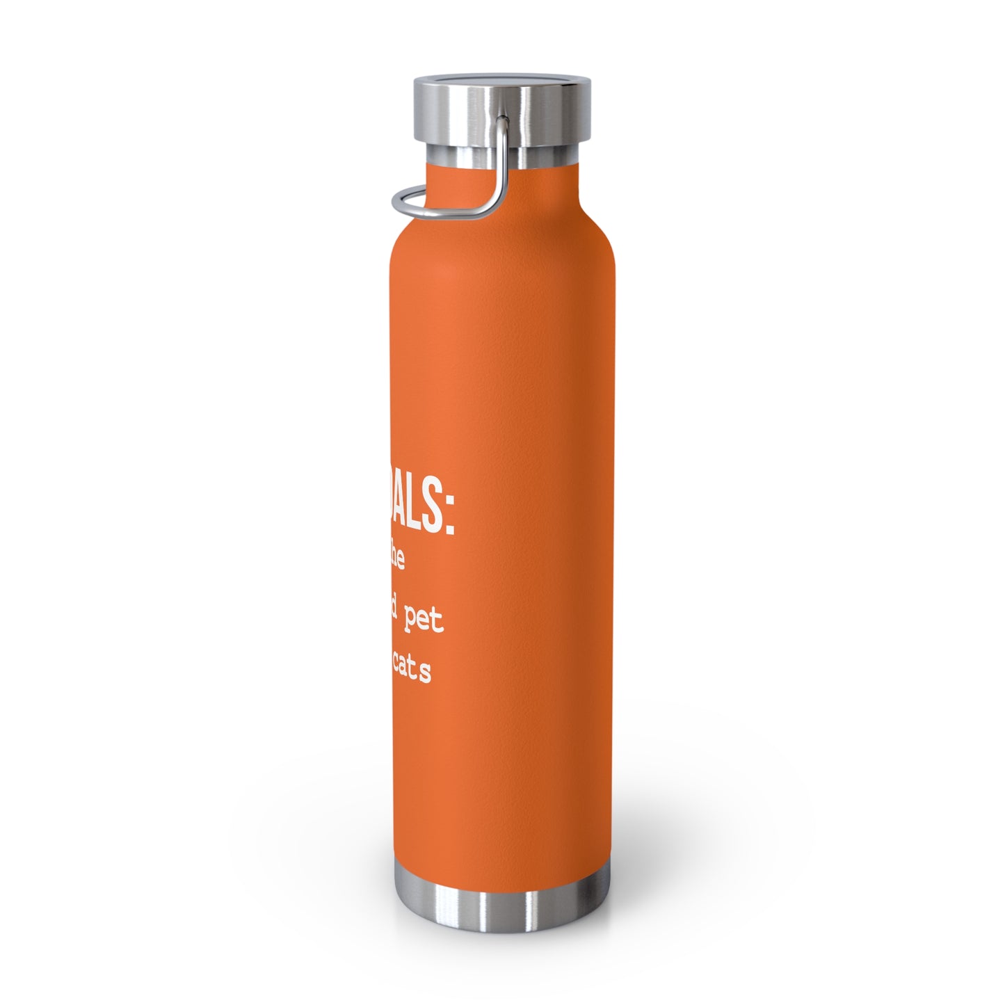 Life Goals Vacuum Insulated Bottle | 22oz
