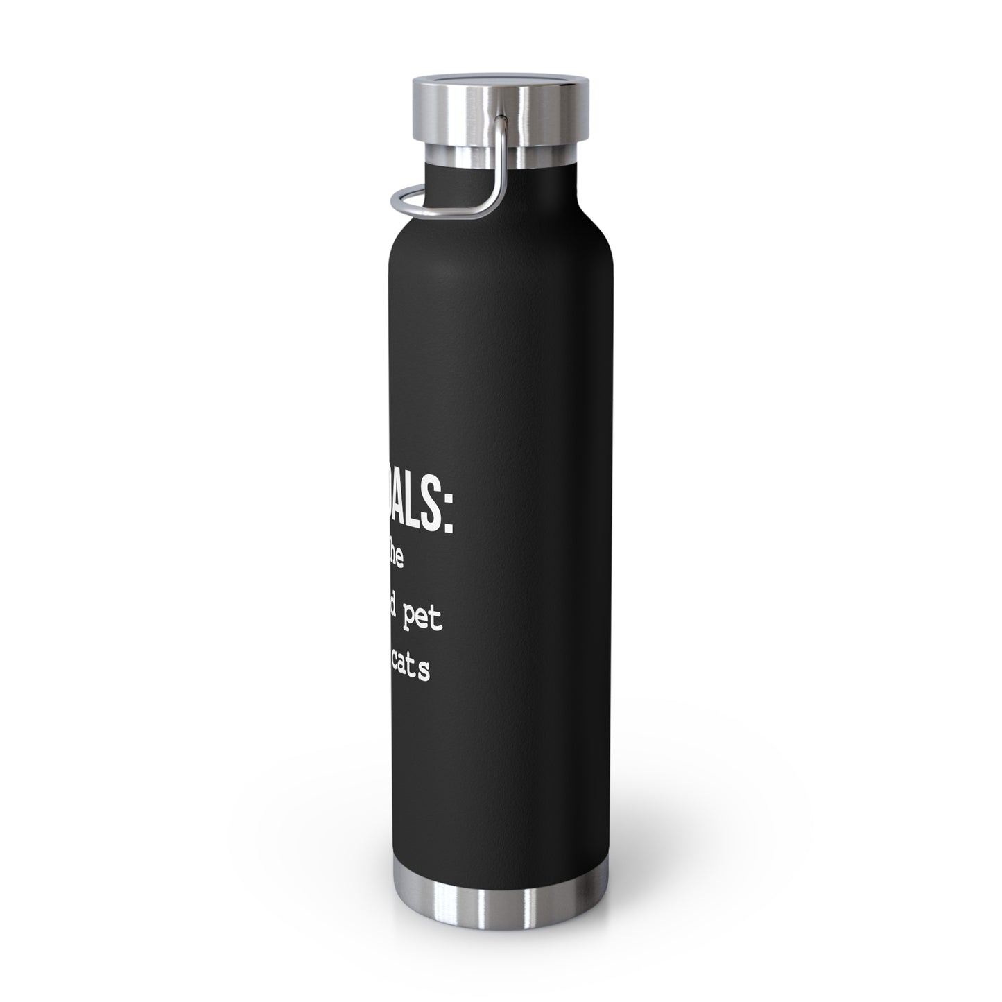 Life Goals Vacuum Insulated Bottle | 22oz