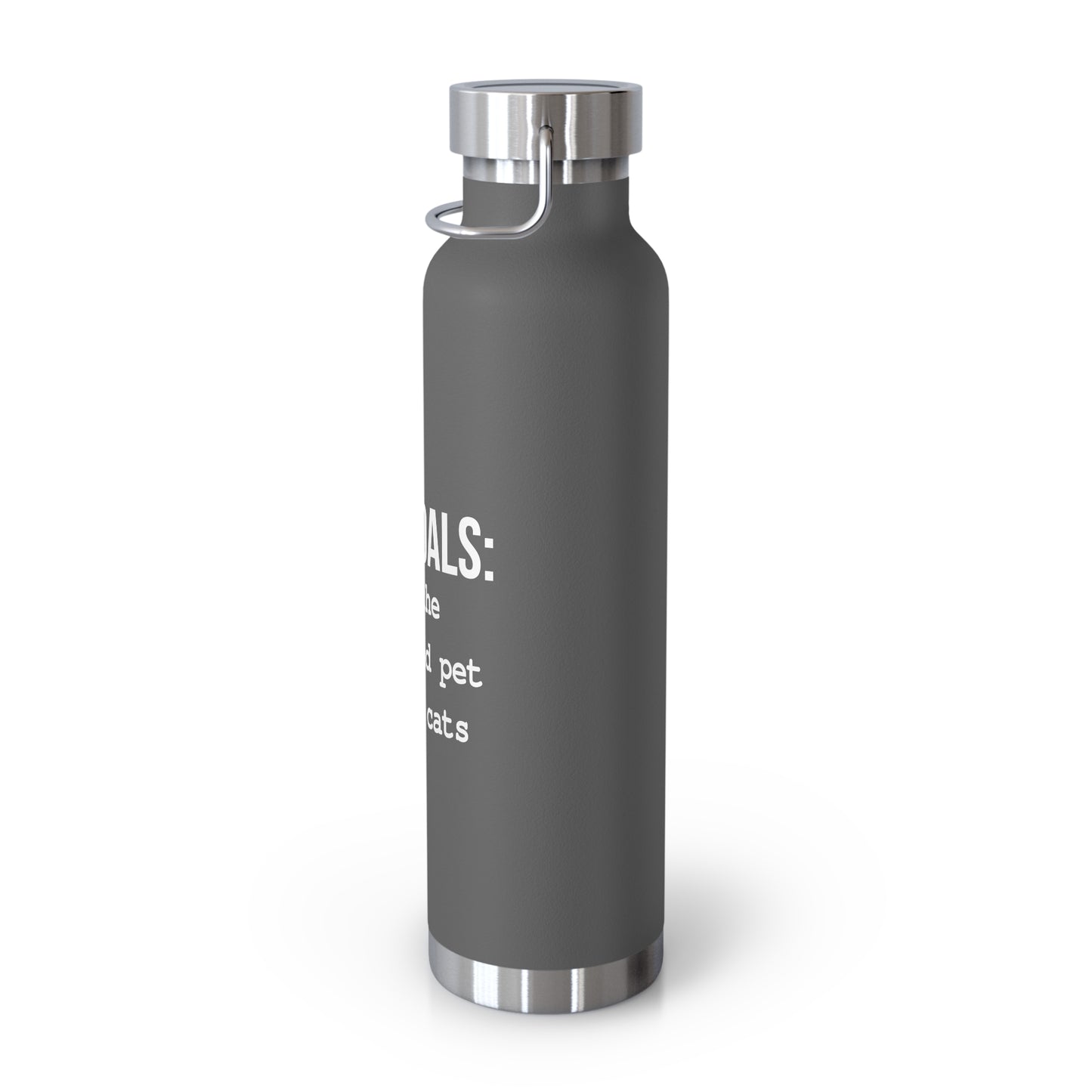 Life Goals Vacuum Insulated Bottle | 22oz