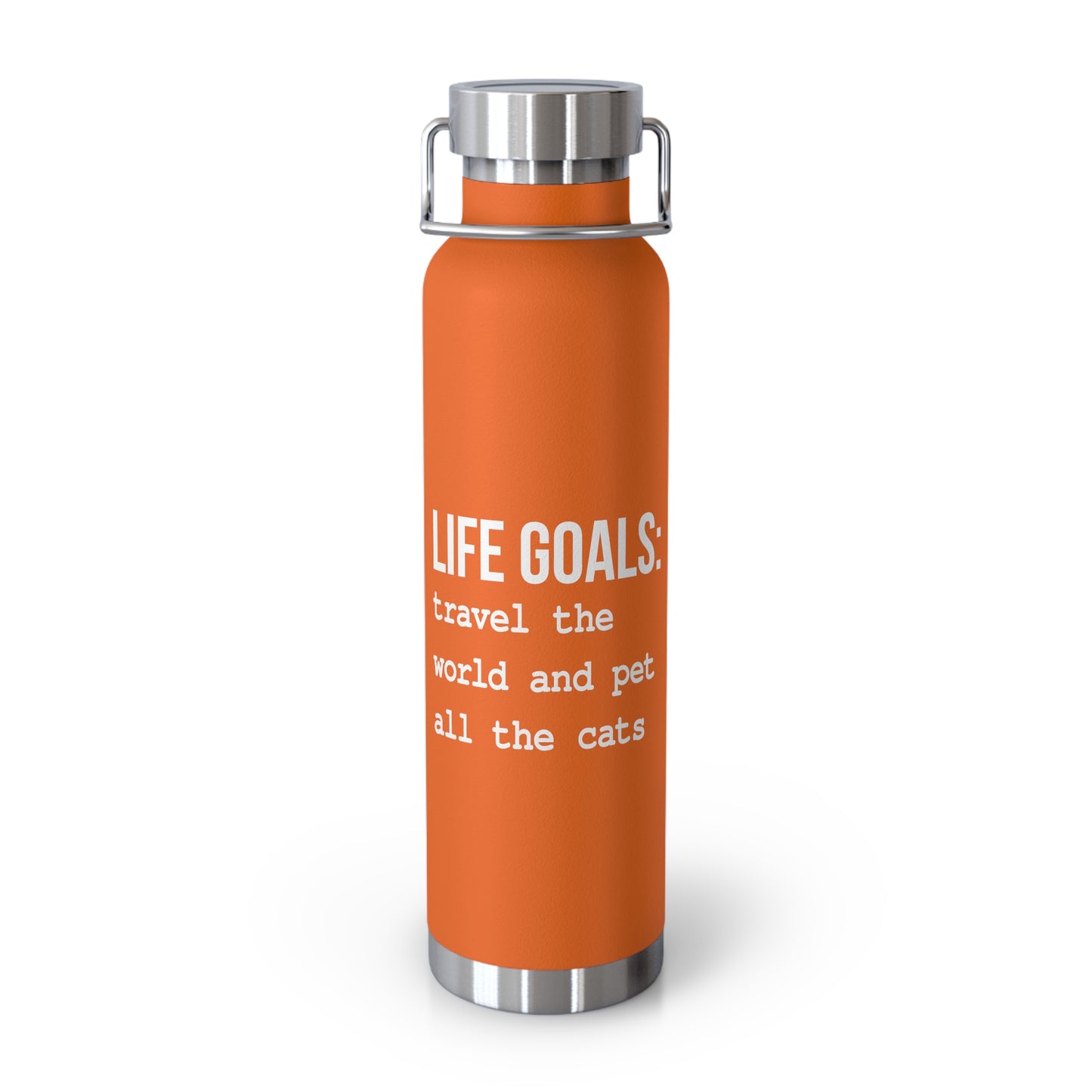 Life Goals Vacuum Insulated Bottle | 22oz