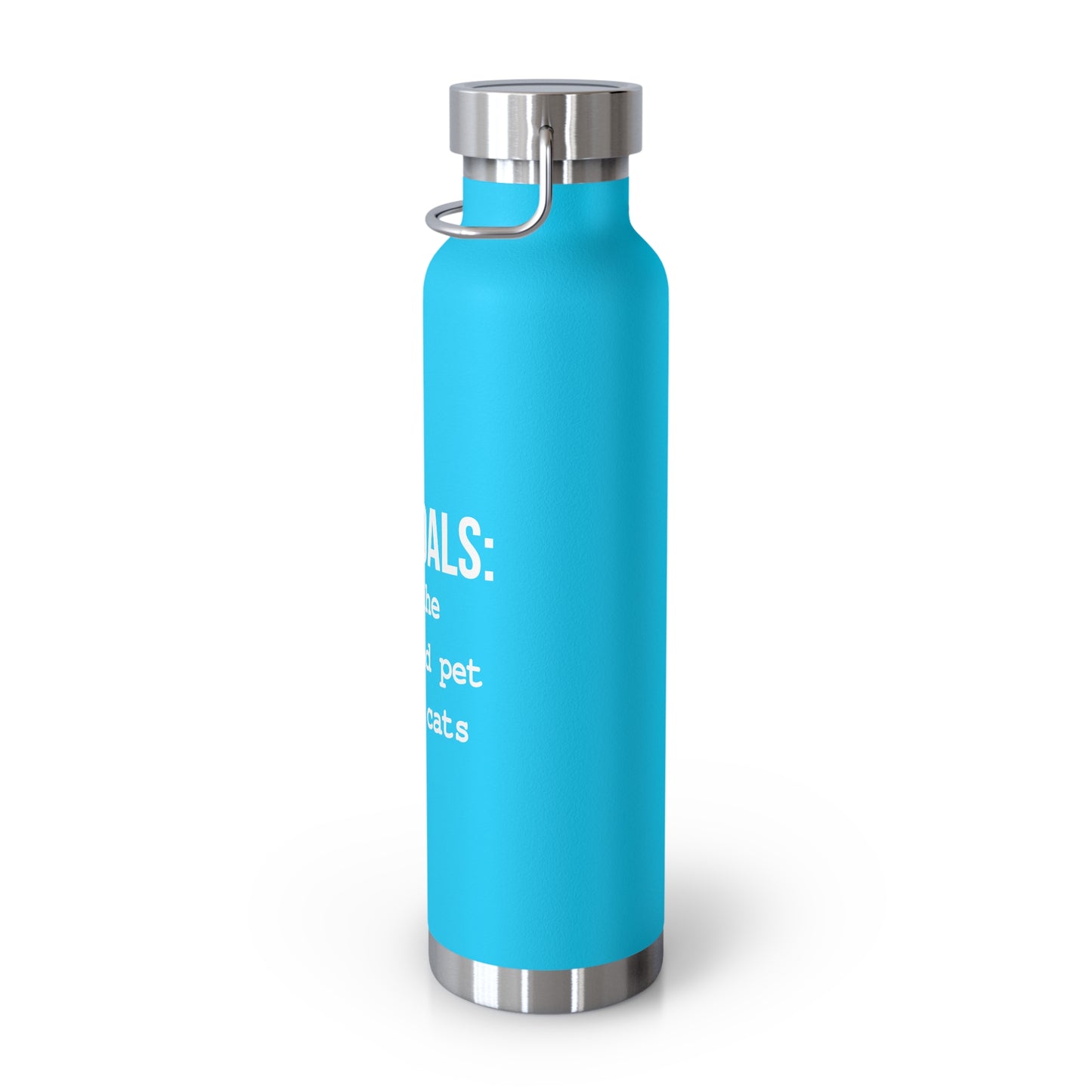 Life Goals Vacuum Insulated Bottle | 22oz