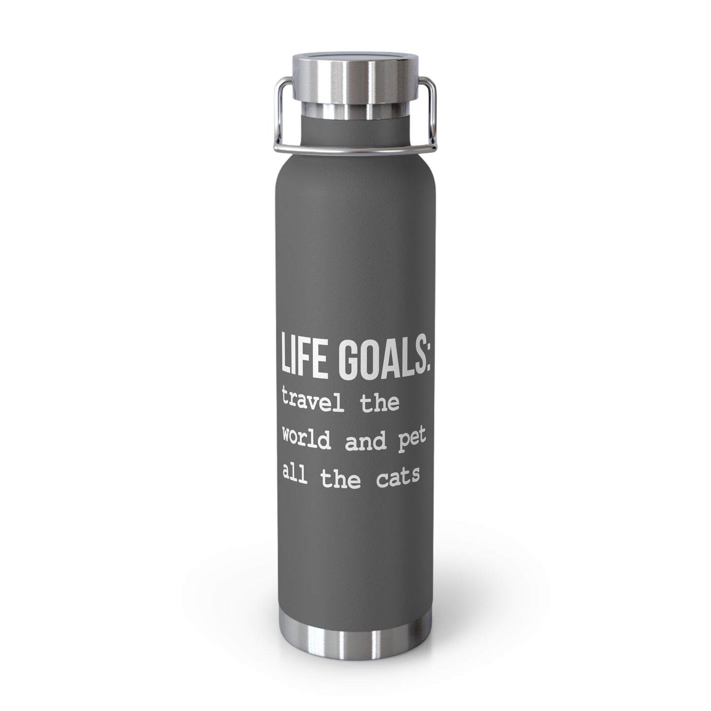 Life Goals Vacuum Insulated Bottle | 22oz