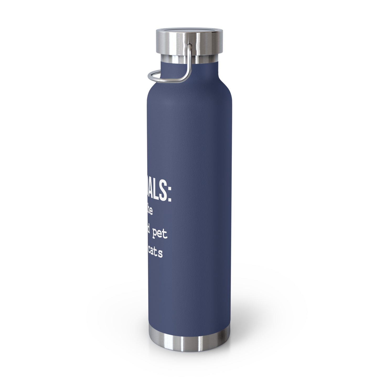 Life Goals Vacuum Insulated Bottle | 22oz