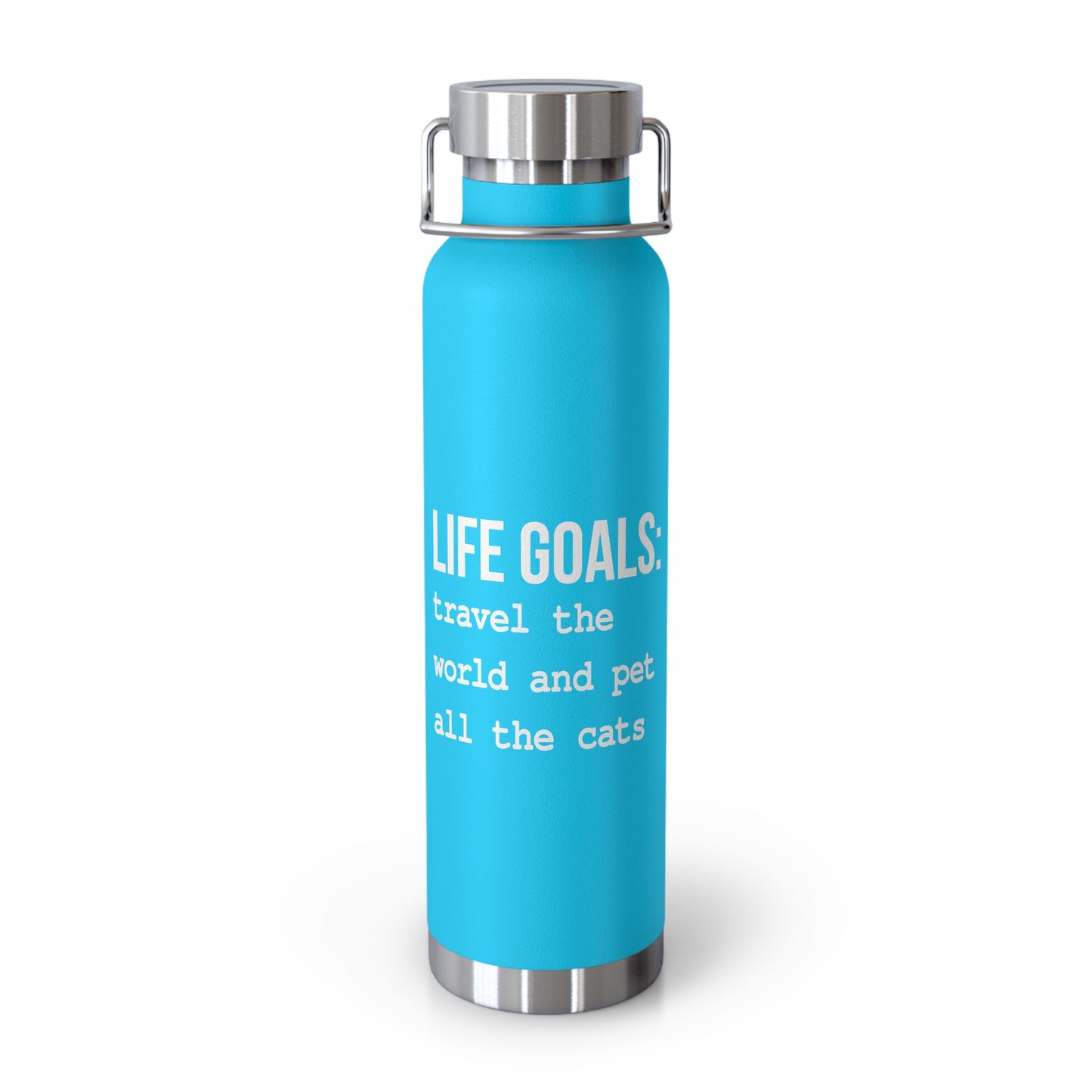 Life Goals Vacuum Insulated Bottle | 22oz